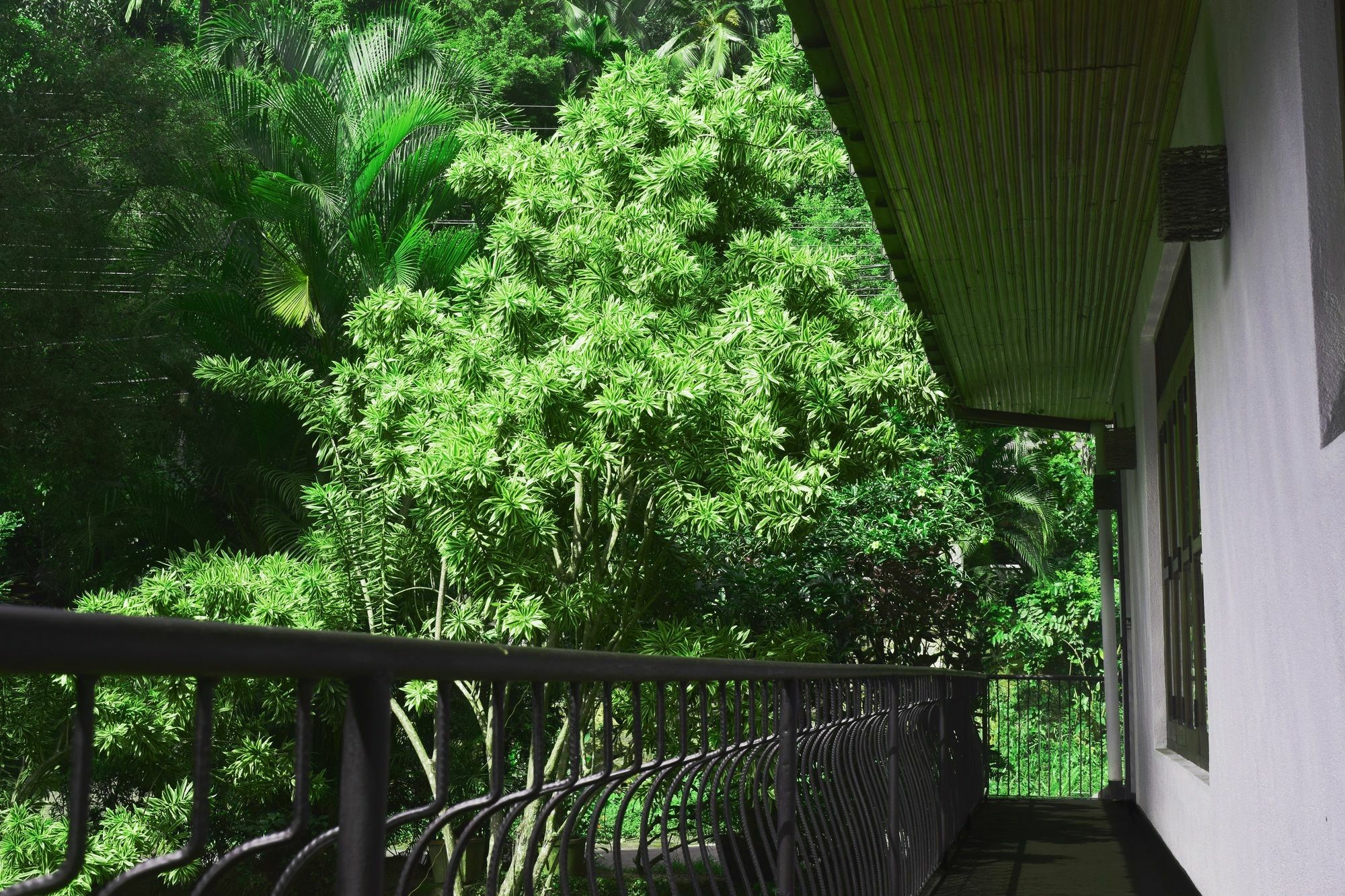 Avaana By Springhills Hotel แคนดี้ ภายนอก รูปภาพ